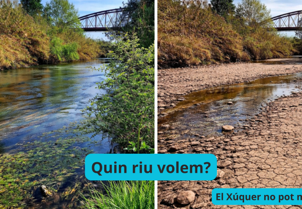 Defensem el Xúquer!  No a l'espoli del Xúquer i l'Albufera!'s header image