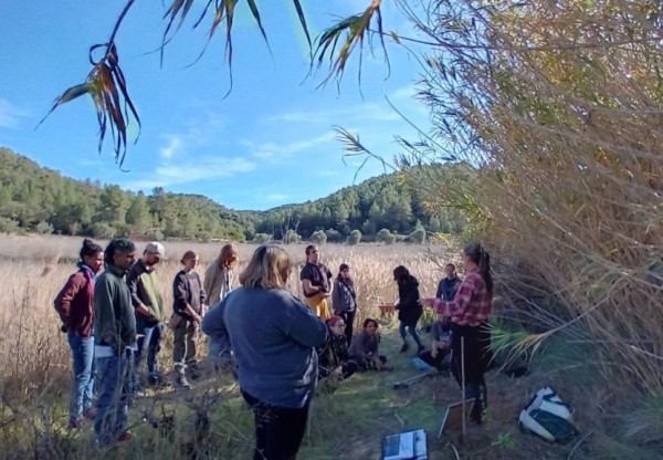 Rovira Regenerativa's header image