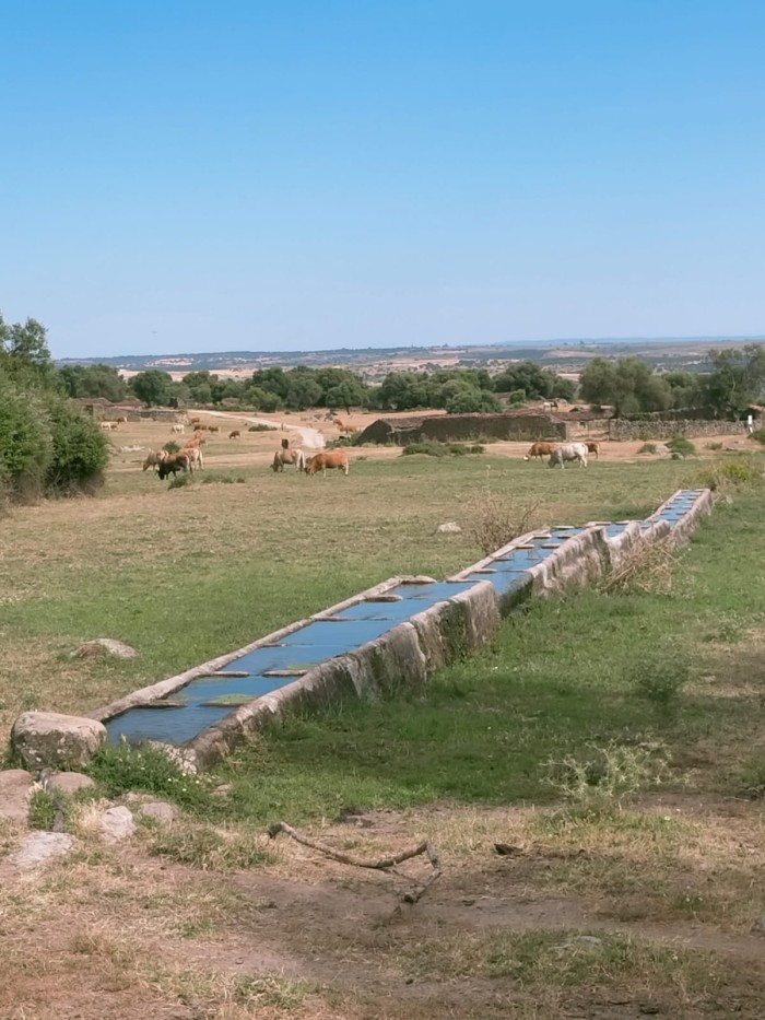 2025-07-04-pilones-pajares.jpeg