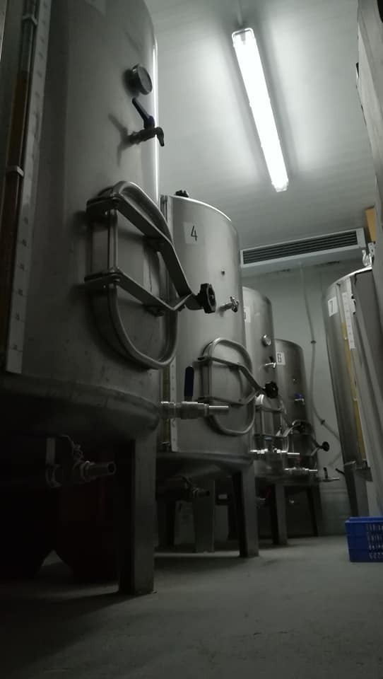 tanques-fermentacion-1.jpg
