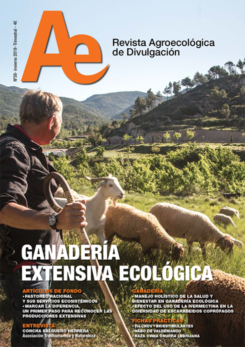 A paso lento en el último nº de la revista Ae!
