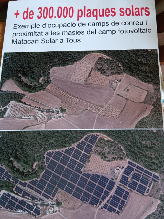 imatge-de-whatsapp-2025-03-11-a-les-19.52.05-0cbcf