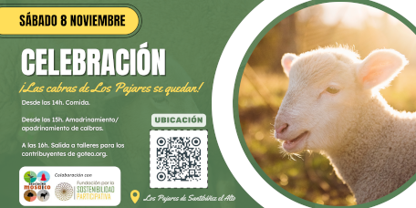 8 Noviembre: Fiesta de convivencia y celebración. Programa.