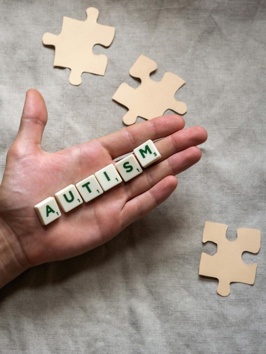 What does “moderate- and low-functioning autism” really mean